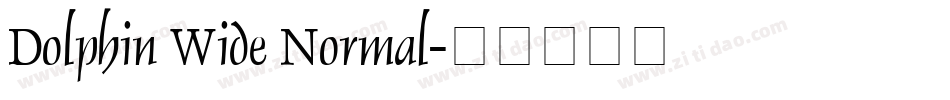 Dolphin Wide Normal字体转换